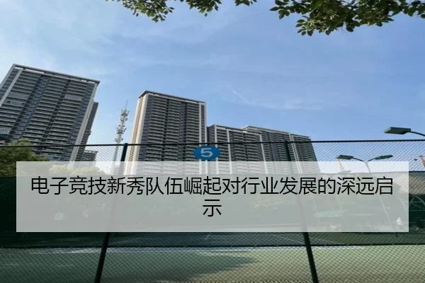 电子竞技新秀队伍崛起对行业发展的深远启示